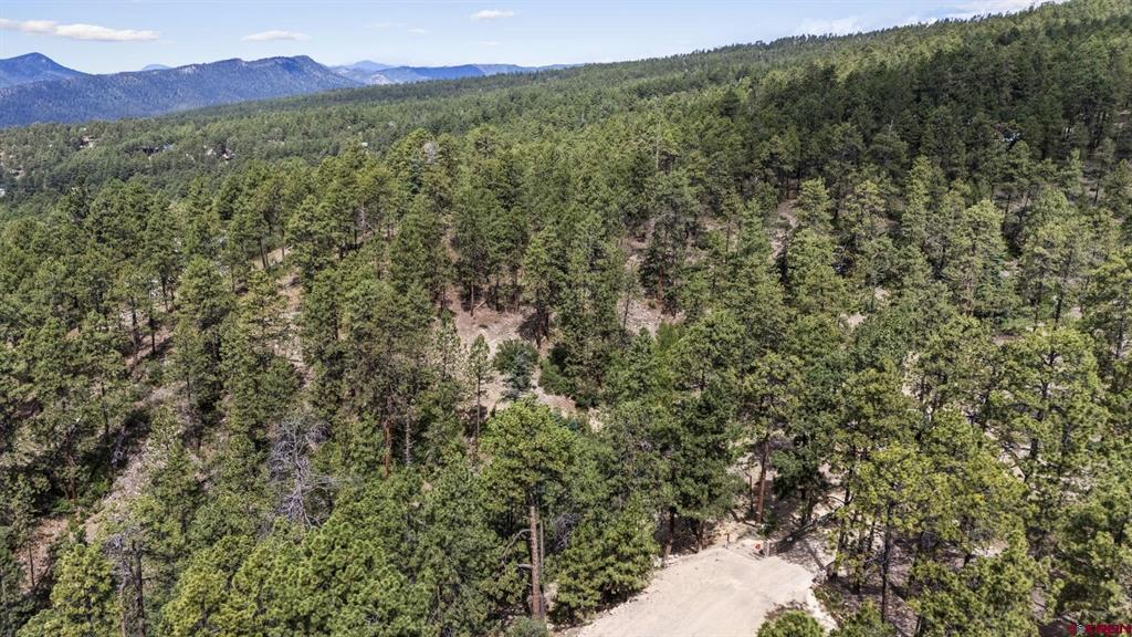 319 Blue Ridge Circle Bayfield CO 81122
