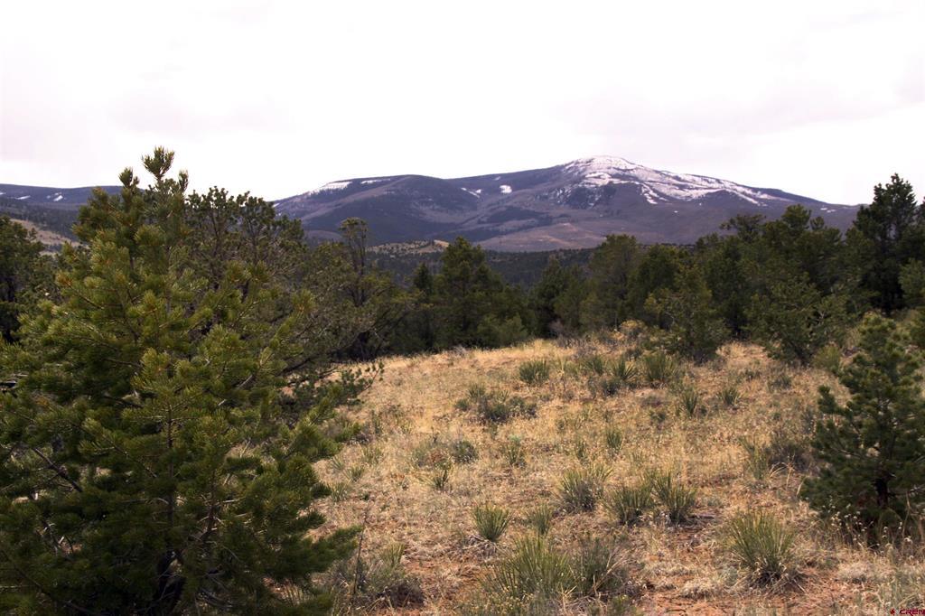 877 Vail Pass Road South Fork CO 81154