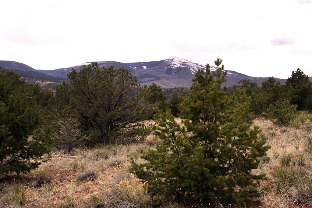 877 Vail Pass Road South Fork CO 81154
