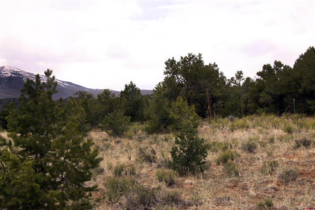 877 Vail Pass Road South Fork CO 81154