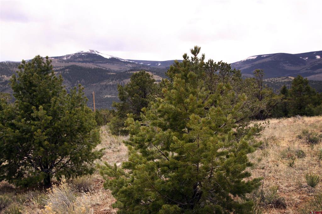 877 Vail Pass Road South Fork CO 81154