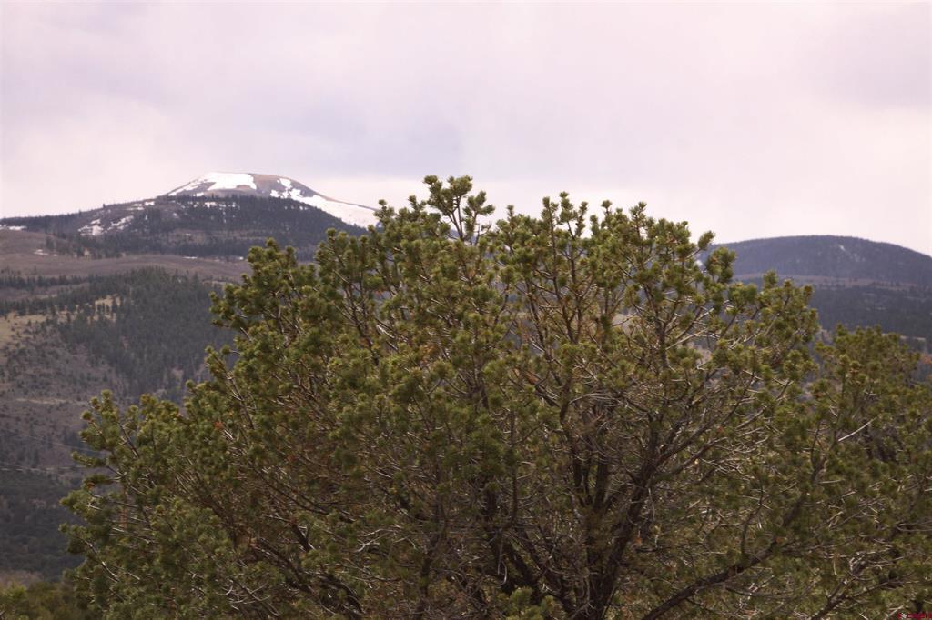 877 Vail Pass Road South Fork CO 81154