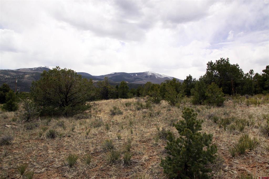 877 Vail Pass Road South Fork CO 81154