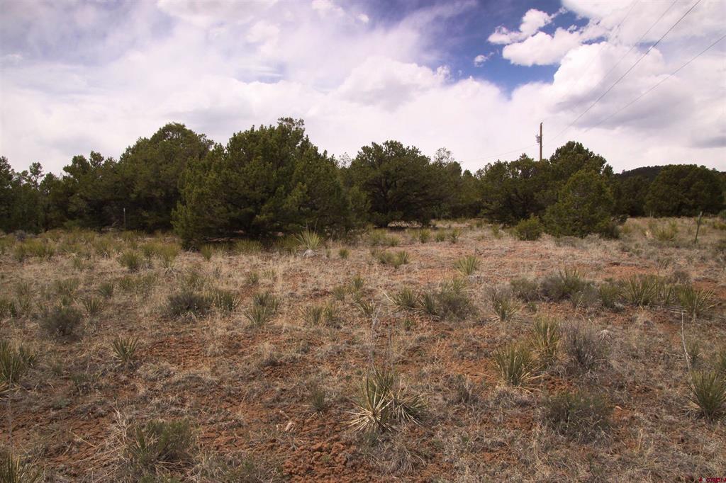 877 Vail Pass Road South Fork CO 81154