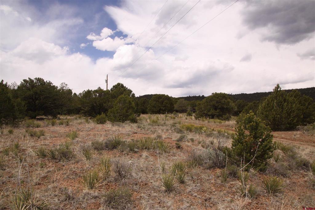 877 Vail Pass Road South Fork CO 81154