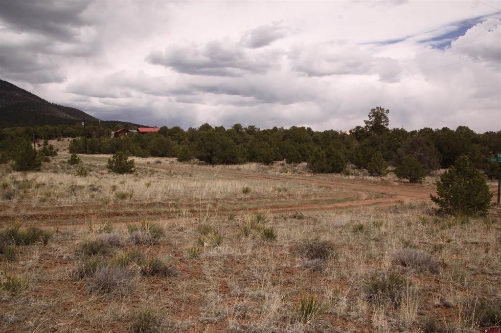 877 Vail Pass Road South Fork CO 81154