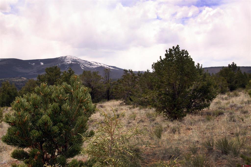 877 Vail Pass Road South Fork CO 81154