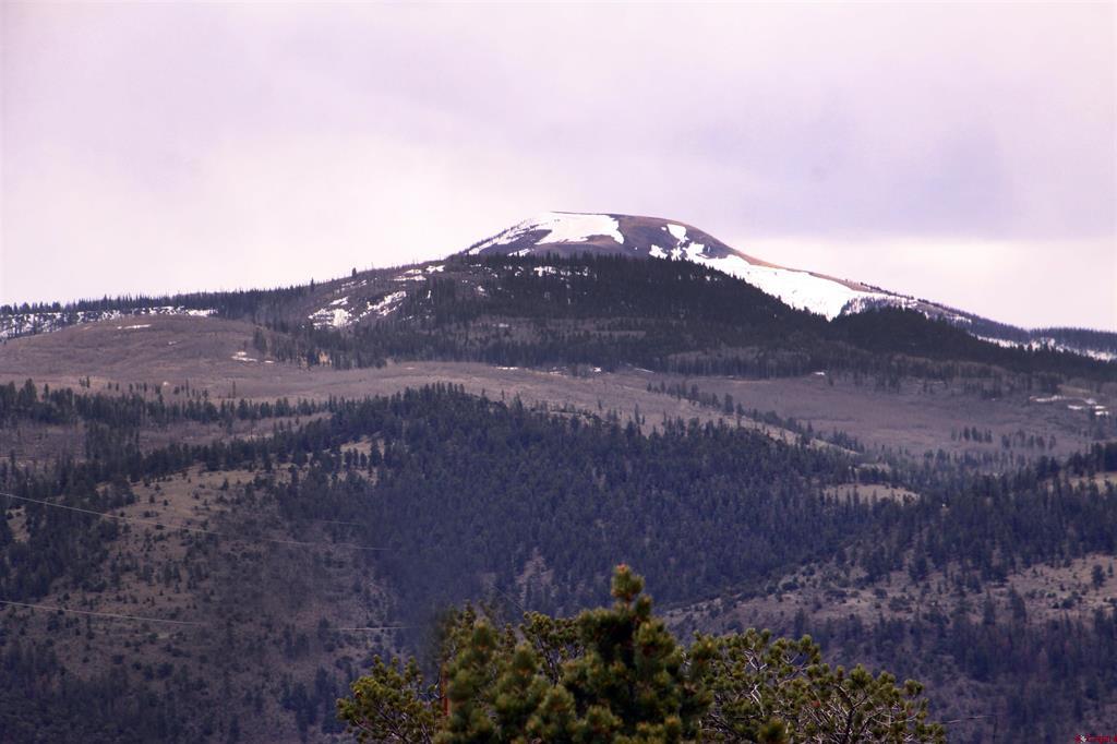 877 Vail Pass Road South Fork CO 81154