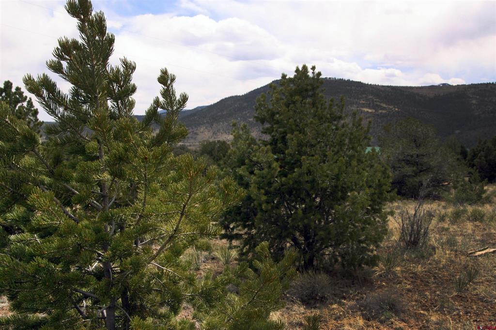 877 Vail Pass Road South Fork CO 81154