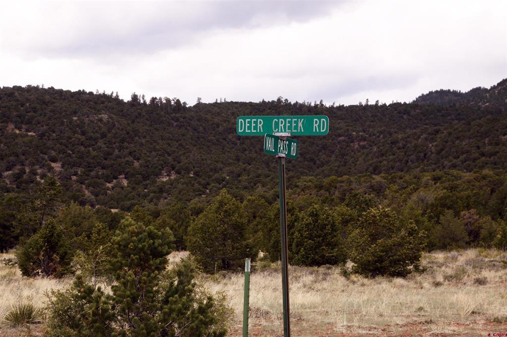 877 Vail Pass Road South Fork CO 81154