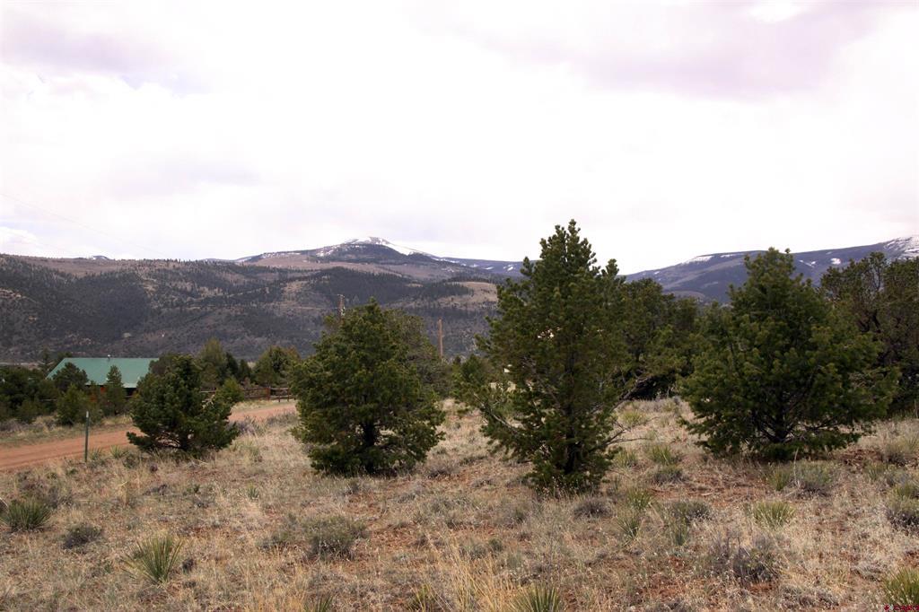 877 Vail Pass Road South Fork CO 81154