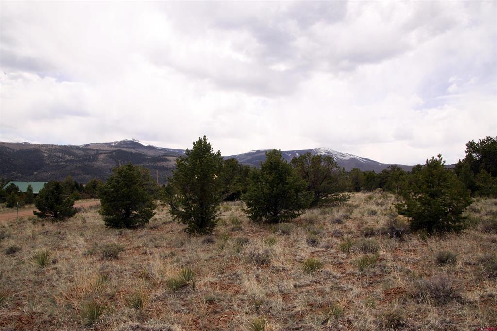 877 Vail Pass Road South Fork CO 81154