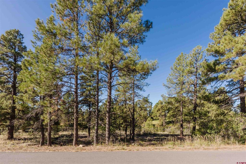 79 E Golf Place Pagosa Springs CO 81147