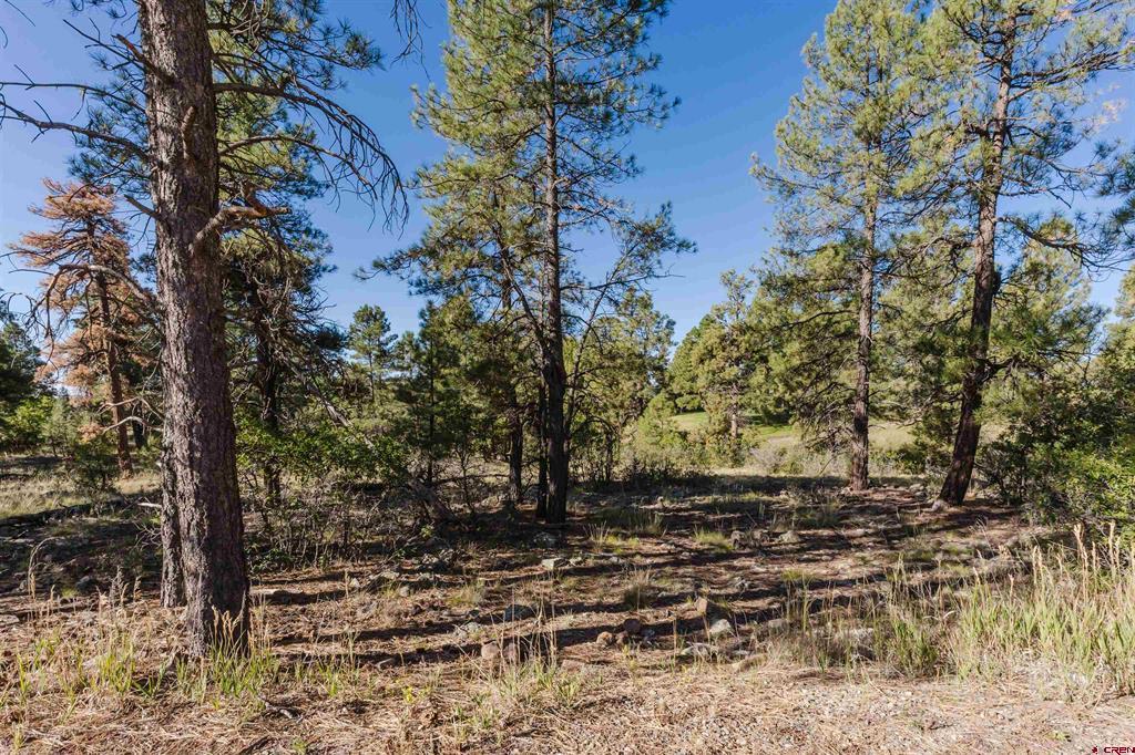 79 E Golf Place Pagosa Springs CO 81147