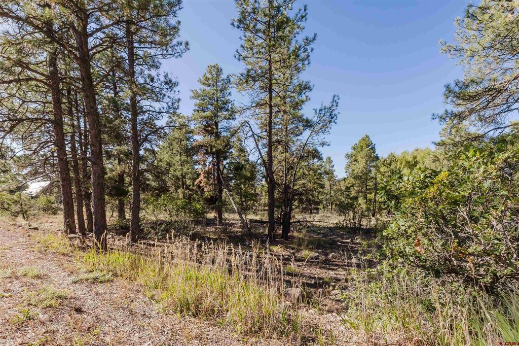 79 E Golf Place Pagosa Springs CO 81147