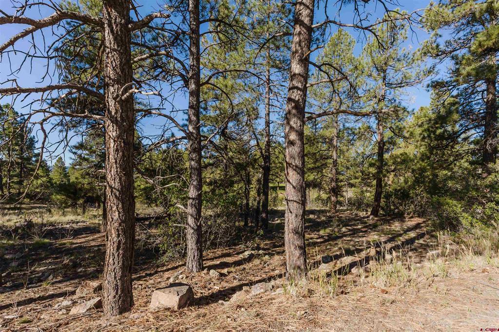 79 E Golf Place Pagosa Springs CO 81147