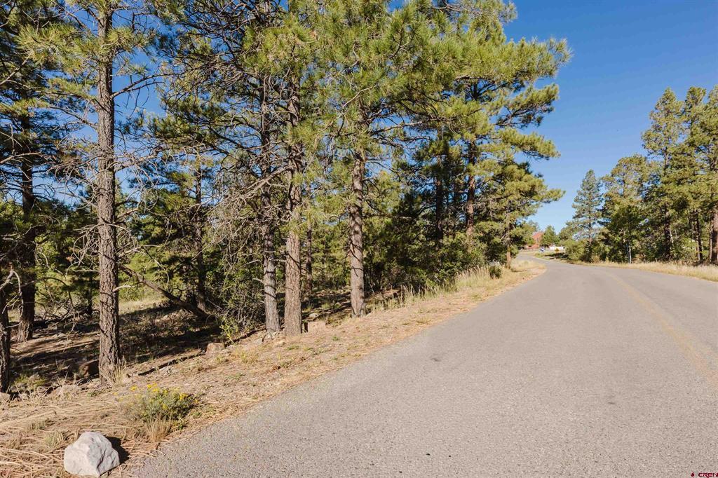 79 E Golf Place Pagosa Springs CO 81147