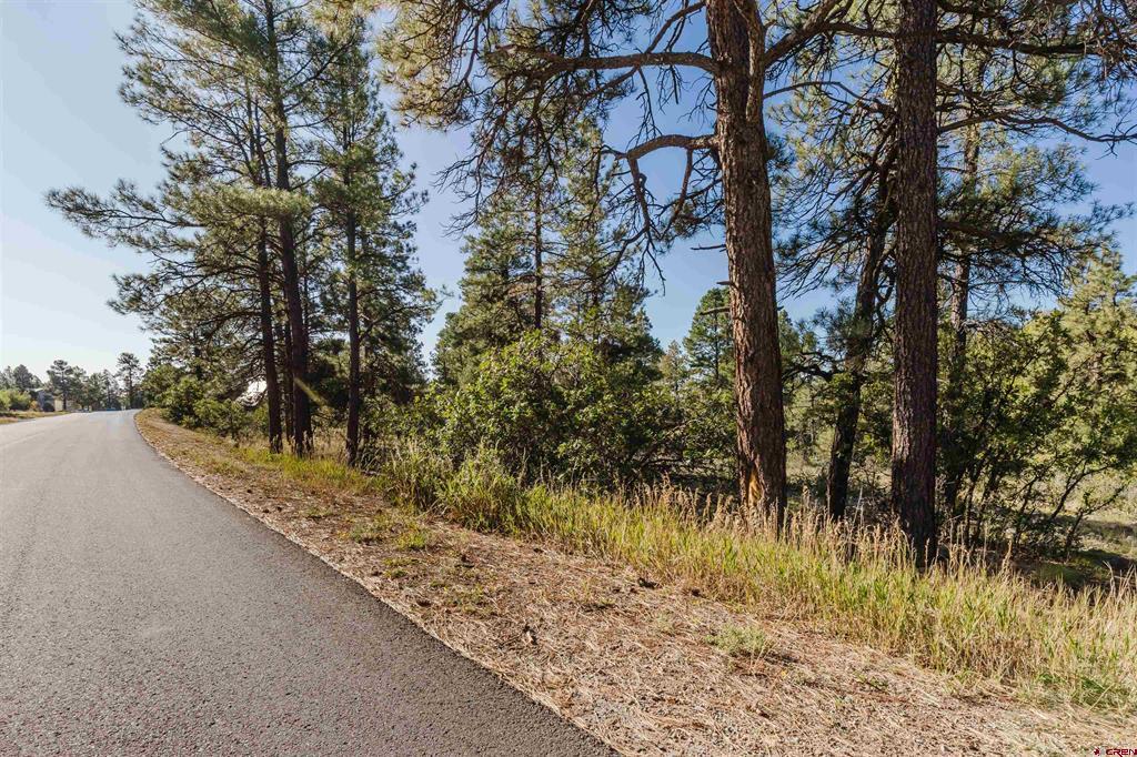 79 E Golf Place Pagosa Springs CO 81147