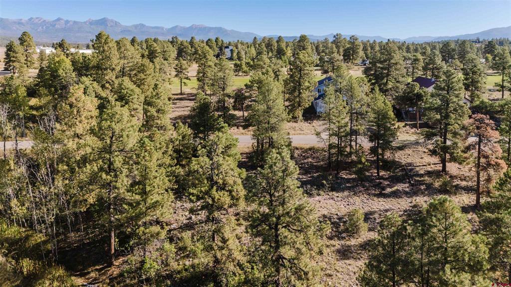79 E Golf Place Pagosa Springs CO 81147