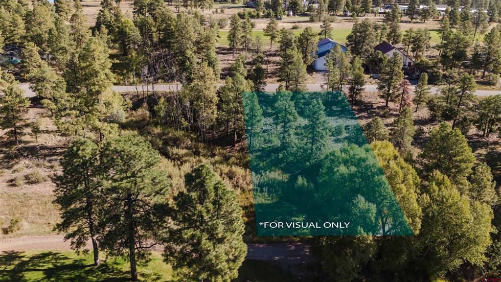 79 E Golf Place Pagosa Springs CO 81147