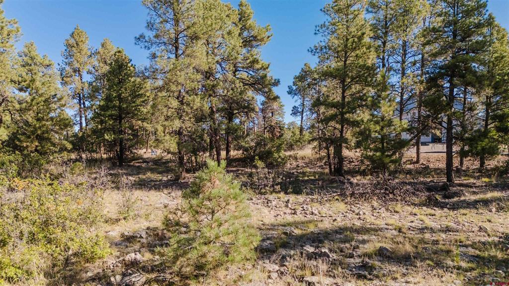 79 E Golf Place Pagosa Springs CO 81147