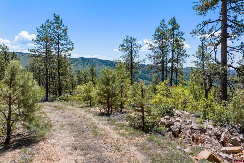 2511 Taylor Ranch Road Durango CO 81301