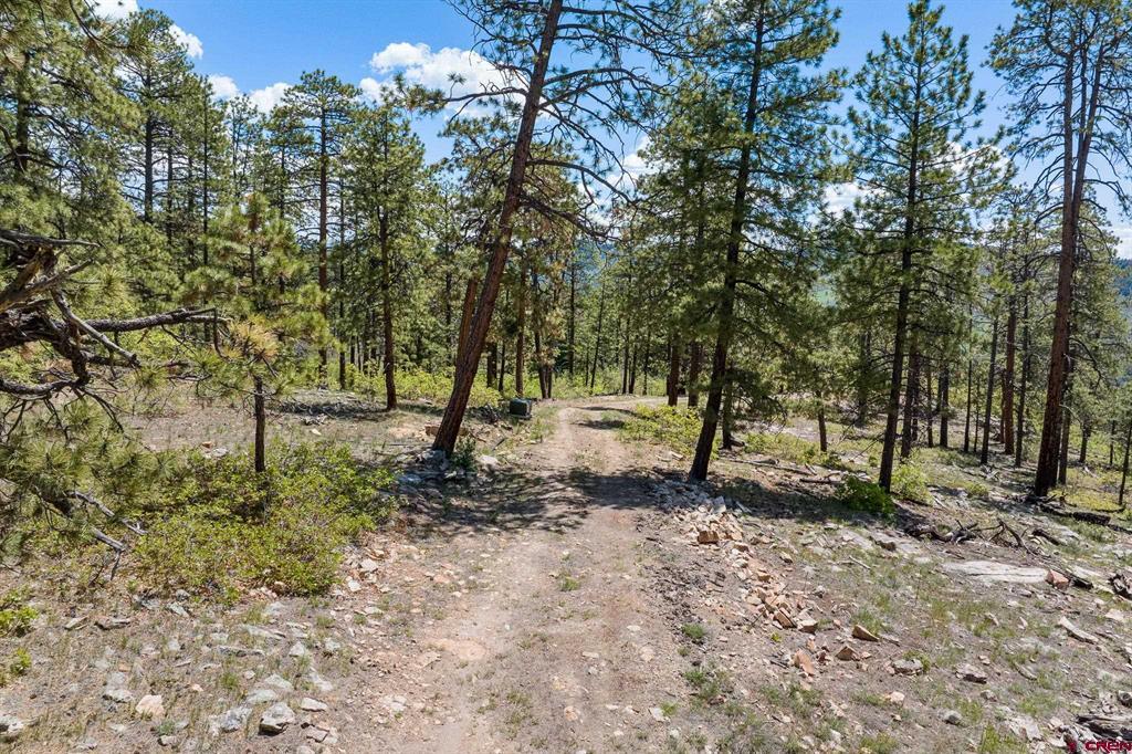2511 Taylor Ranch Road Durango CO 81301