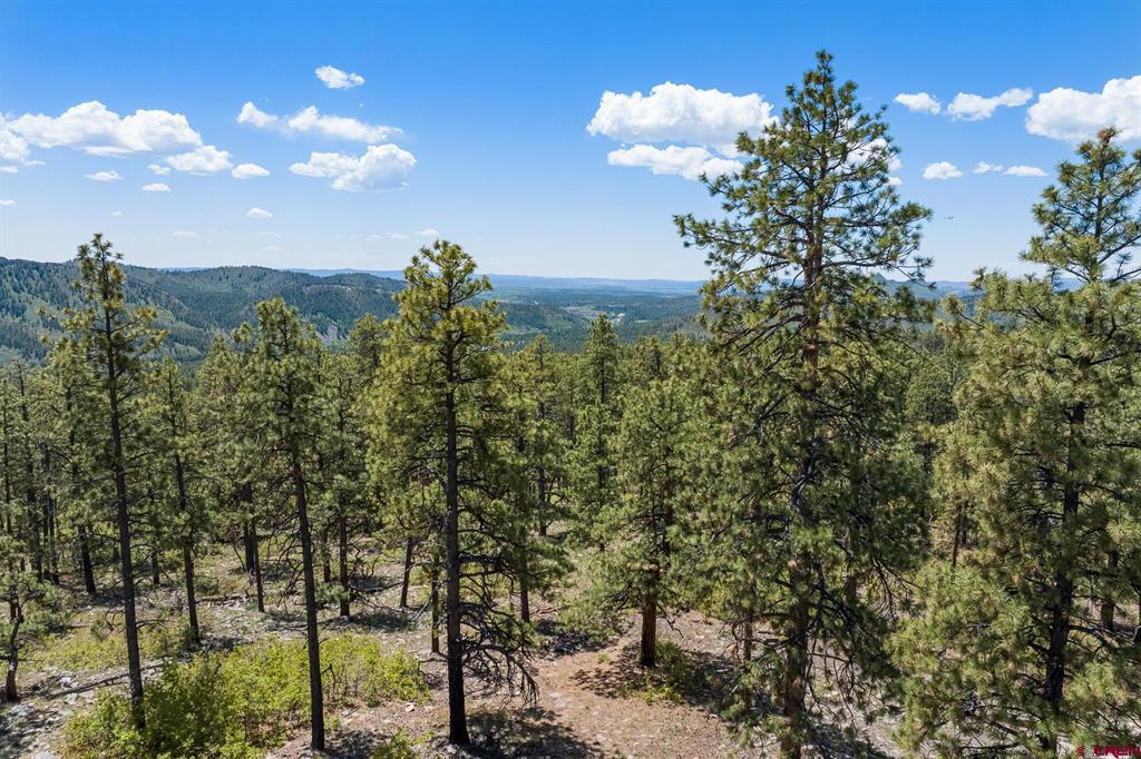 2511 Taylor Ranch Road Durango CO 81301