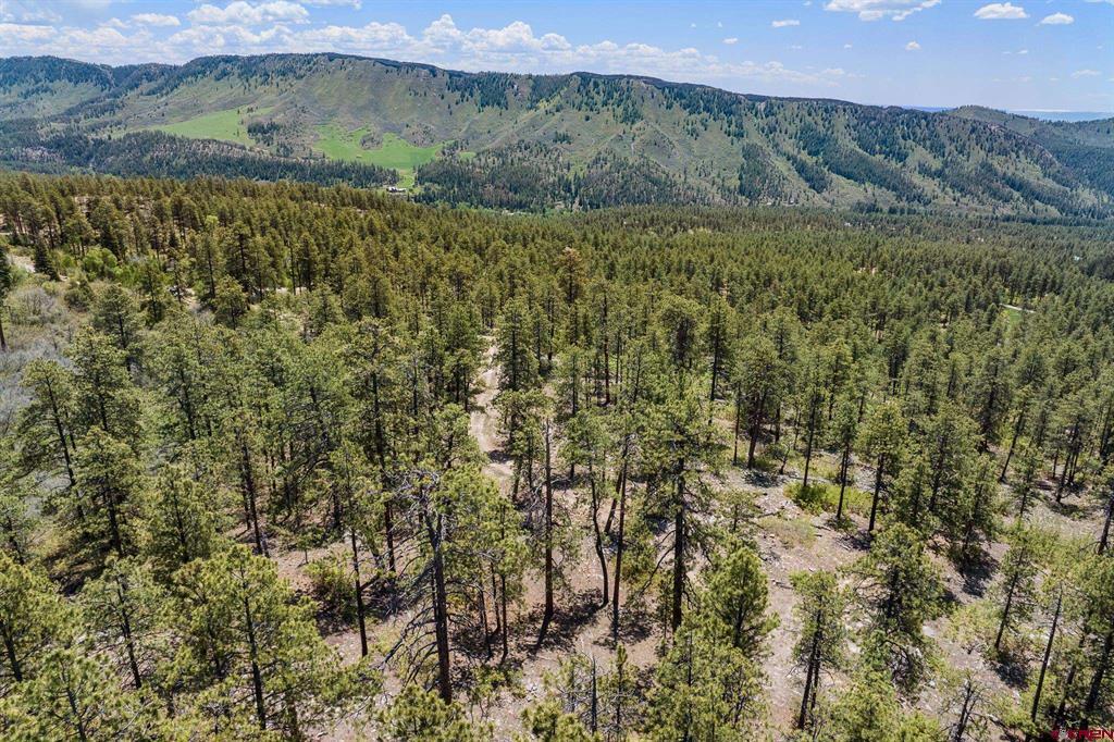 2511 Taylor Ranch Road Durango CO 81301