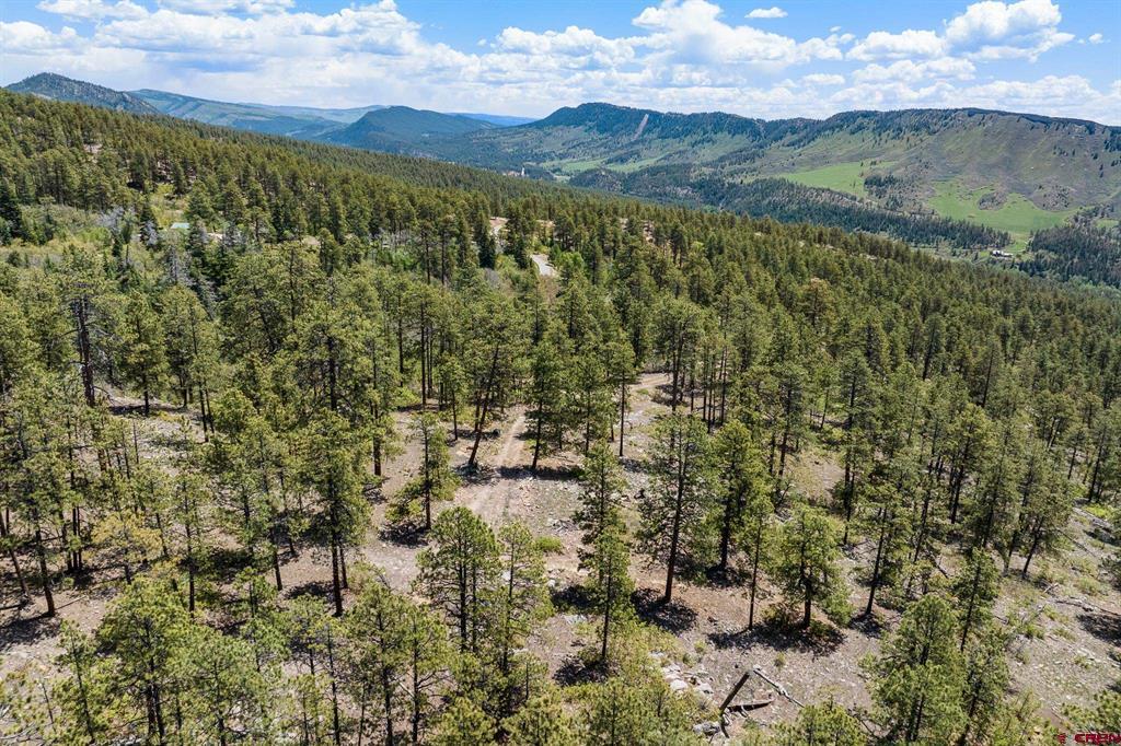 2511 Taylor Ranch Road Durango CO 81301