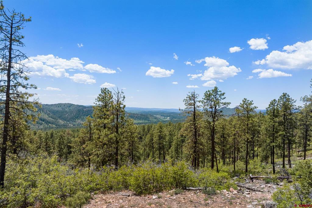 2511 Taylor Ranch Road Durango CO 81301