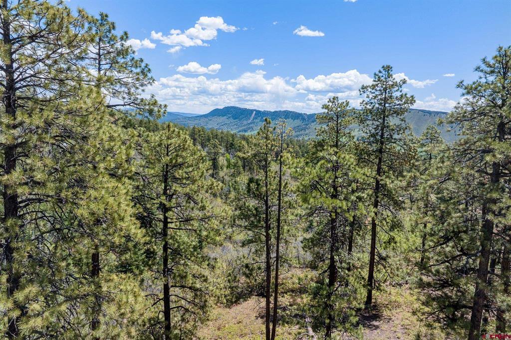 2511 Taylor Ranch Road Durango CO 81301