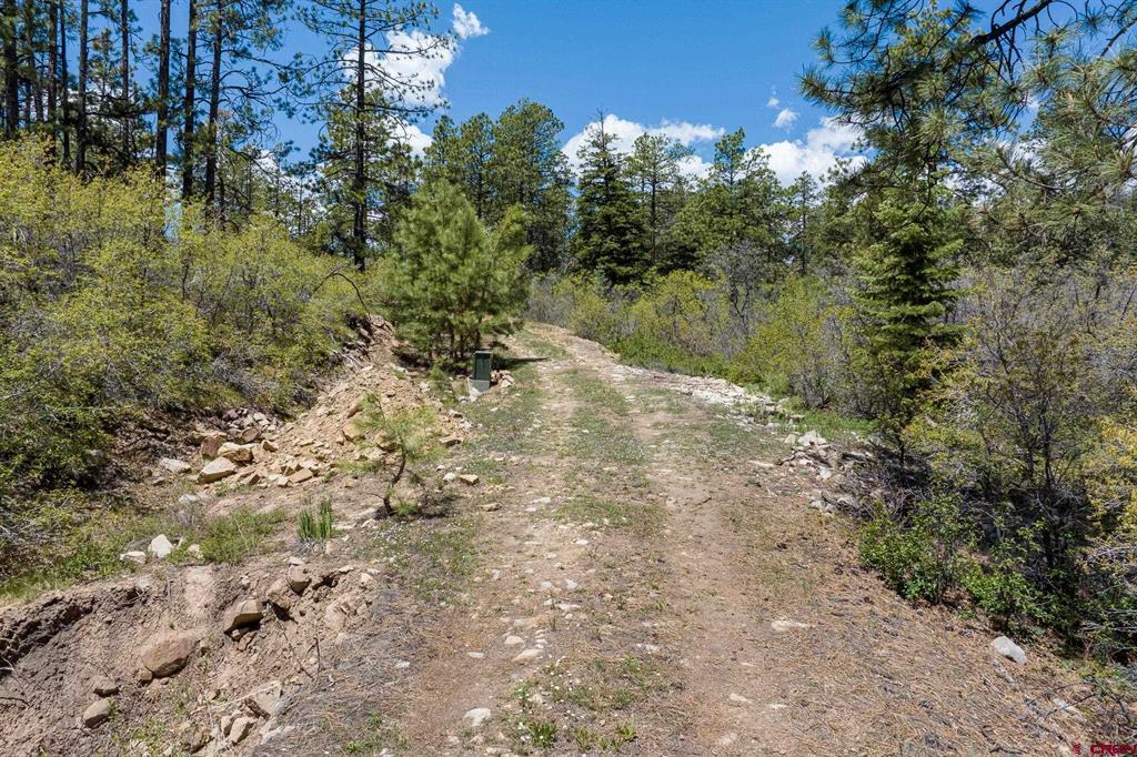 2511 Taylor Ranch Road Durango CO 81301