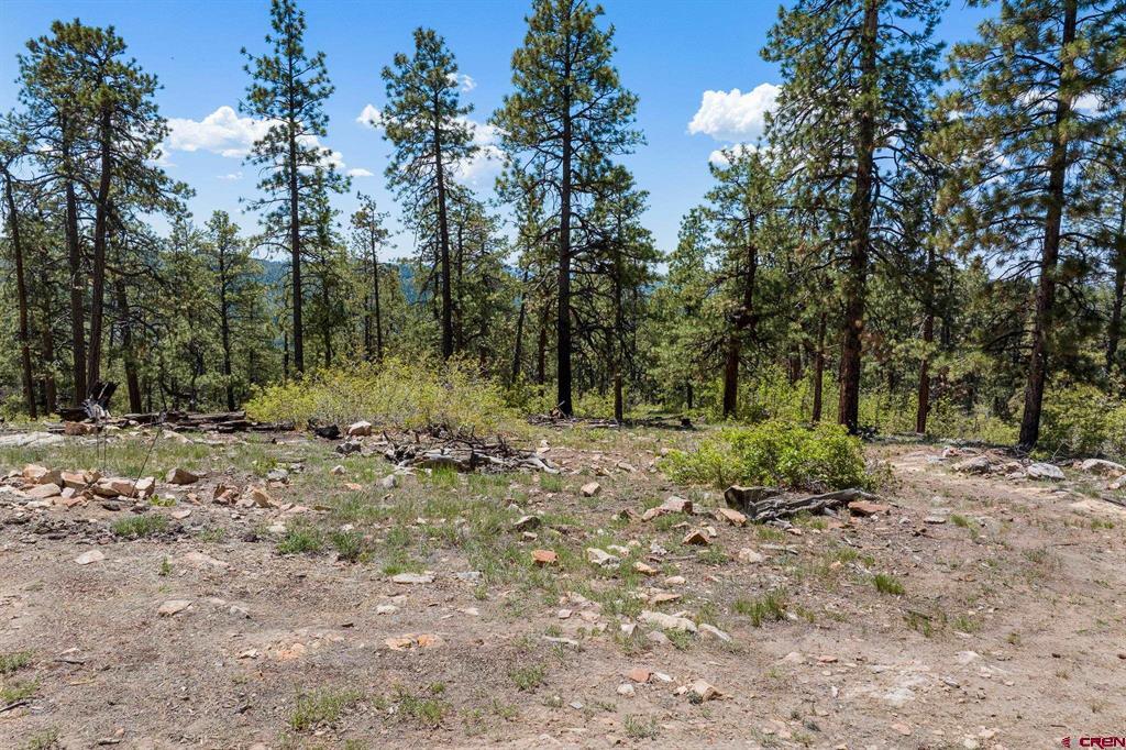 2511 Taylor Ranch Road Durango CO 81301