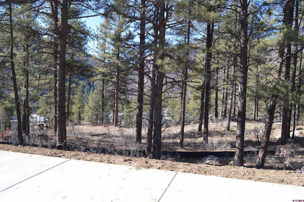 774 Tipple Avenue (Lot 143) Durango CO 81301