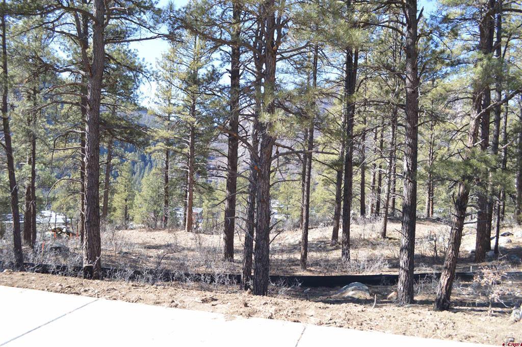 774 Tipple Avenue (Lot 143) Durango CO 81301