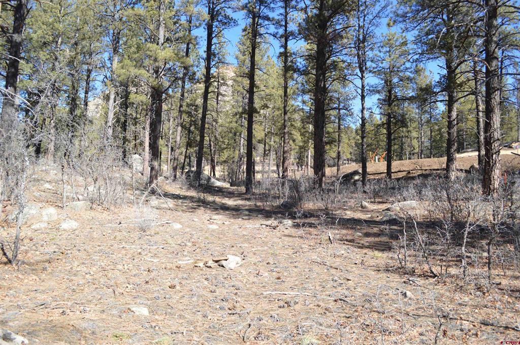 774 Tipple Avenue (Lot 143) Durango CO 81301