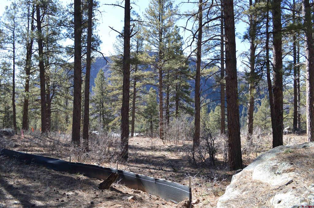 774 Tipple Avenue (Lot 143) Durango CO 81301