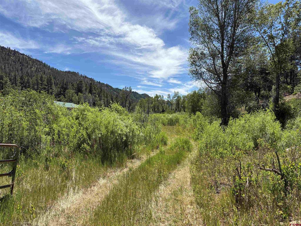 3230 Bear Creek Road Bayfield CO 81122