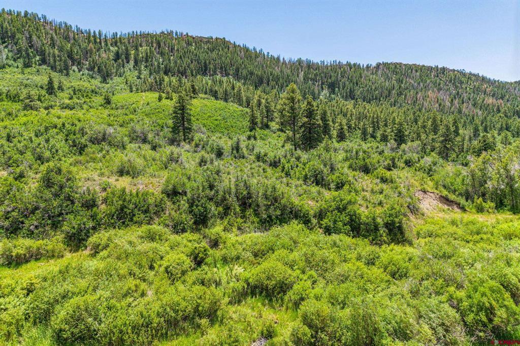 3230 Bear Creek Road Bayfield CO 81122