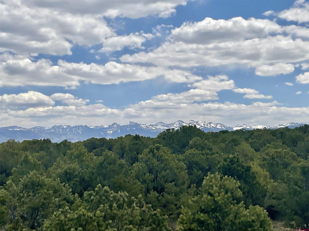 6101 County Road 1 Road Montrose CO 81403