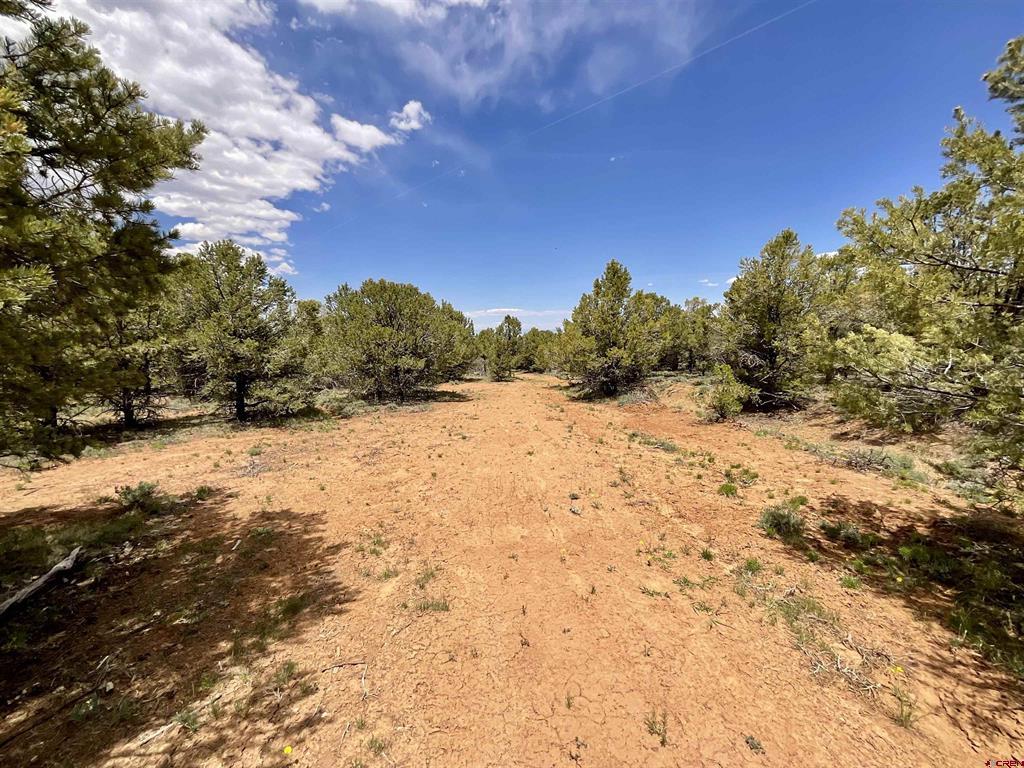 6101 County Road 1 Road Montrose CO 81403