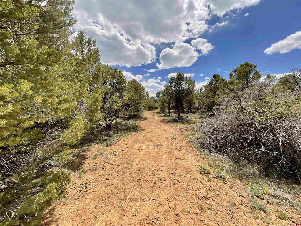 6101 County Road 1 Road Montrose CO 81403