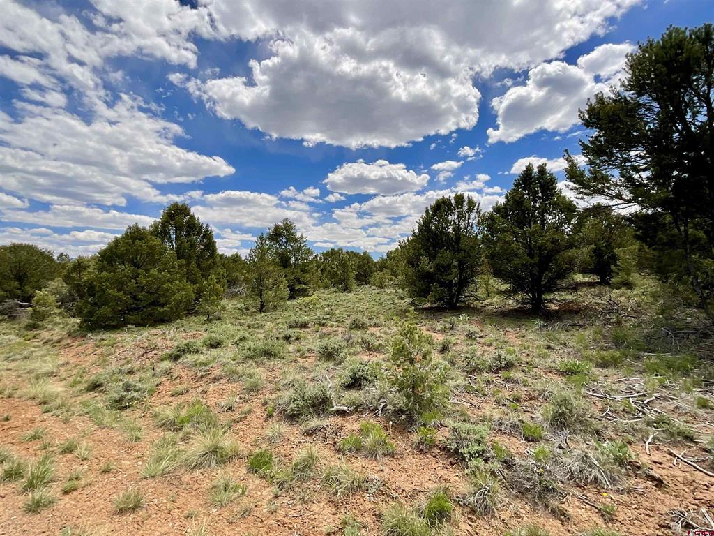 6101 County Road 1 Road Montrose CO 81403