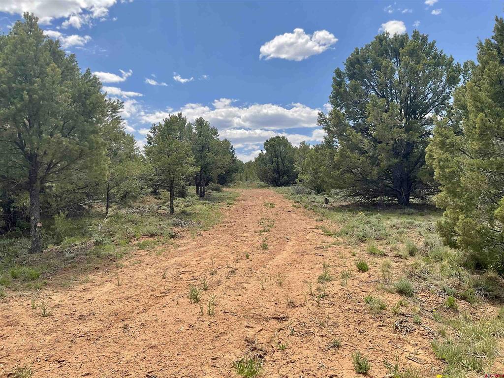 6101 County Road 1 Road Montrose CO 81403