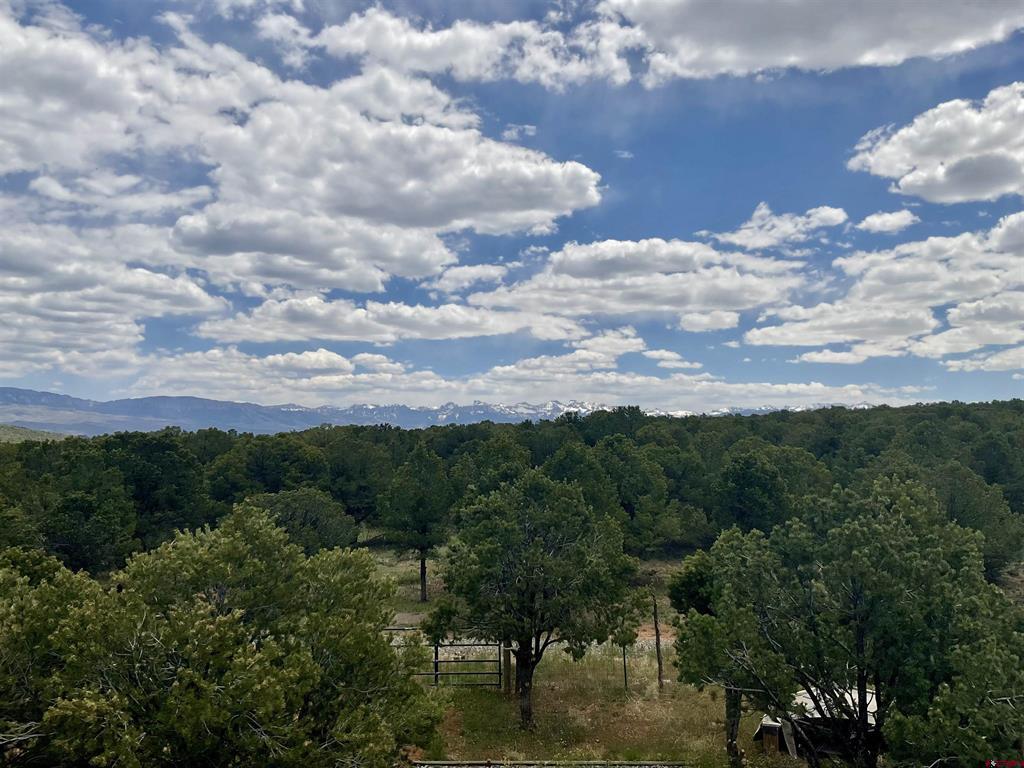 6101 County Road 1 Road Montrose CO 81403
