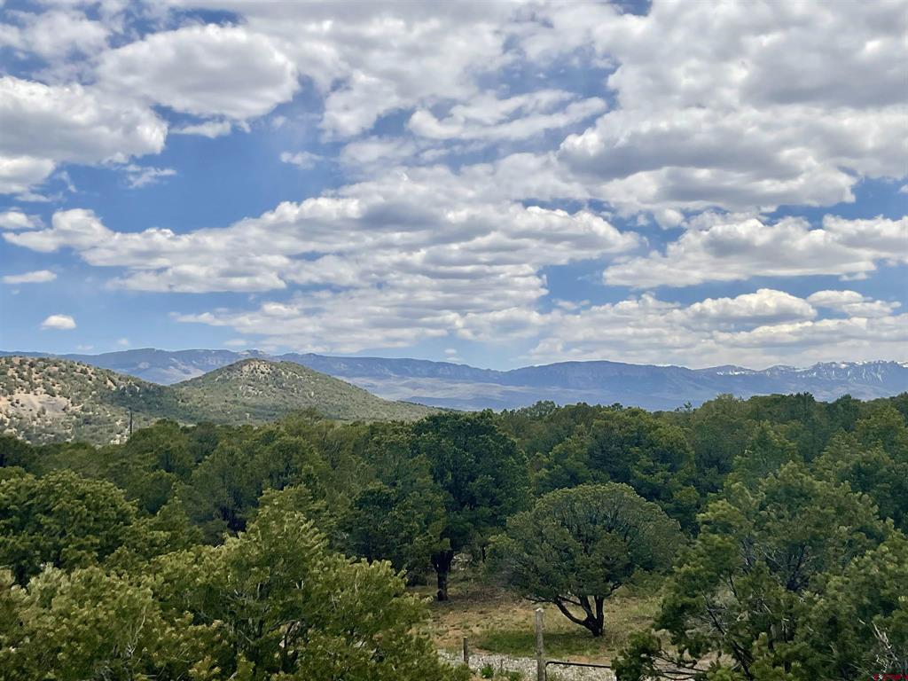 6101 County Road 1 Road Montrose CO 81403