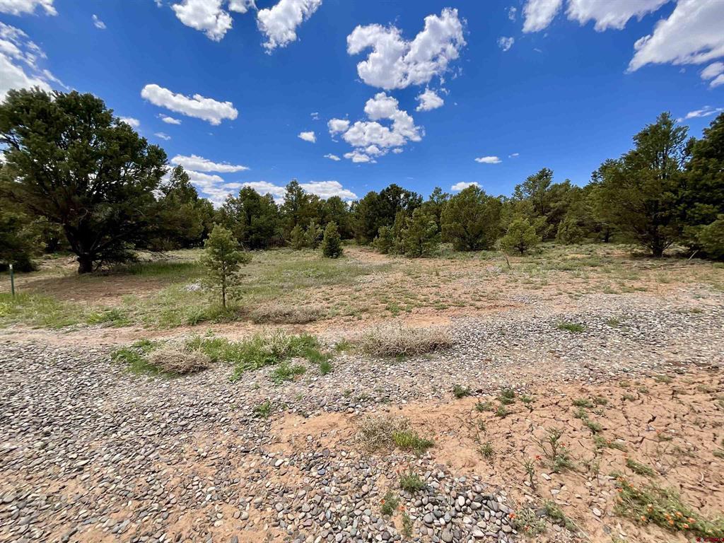 6101 County Road 1 Road Montrose CO 81403