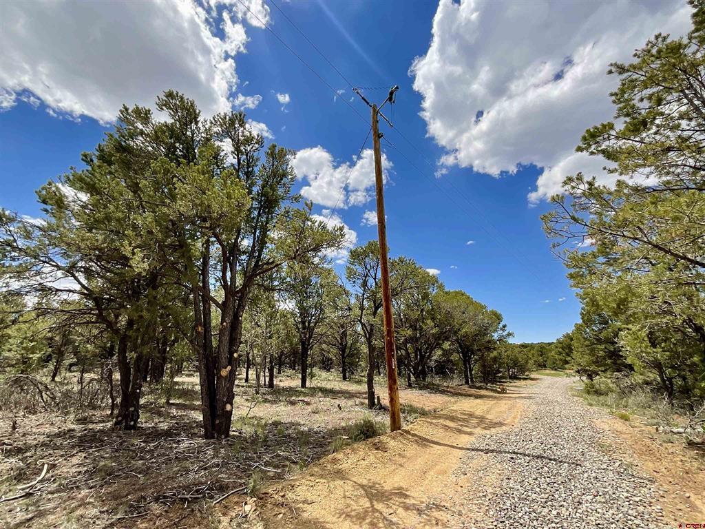 6101 County Road 1 Road Montrose CO 81403