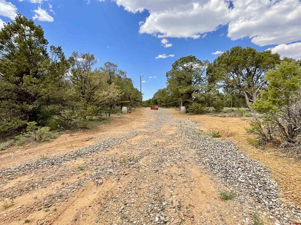 6101 County Road 1 Road Montrose CO 81403